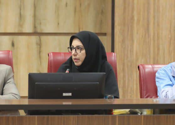 درخواست تدوین برنامه ملی برای پایش آثار آلودگی‌ها بر سلامت زنان ایلام