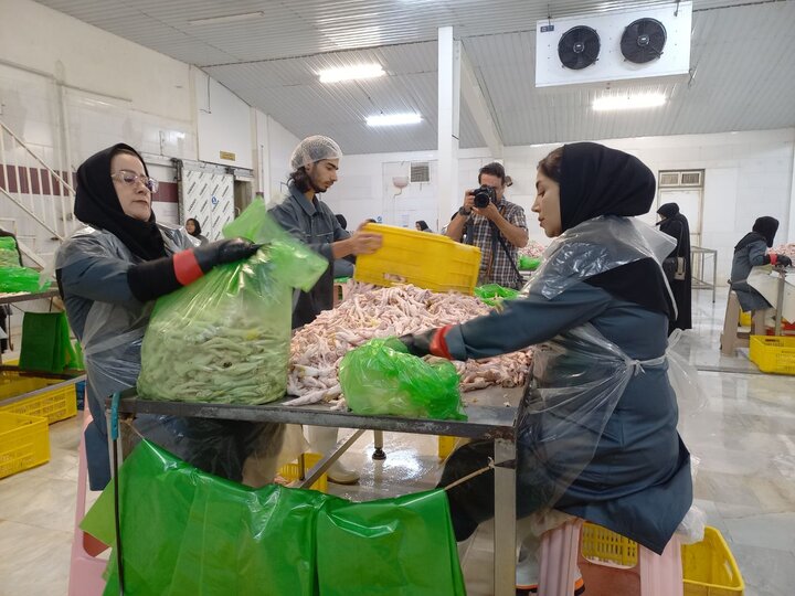 ۹۰۰۰ مورد بازرسی از واحدهای عرضه فرآوردههای خام دامی در همدان /۲۶۵ واحد متخلف پلمب شد