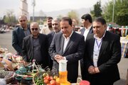 روستائیان و عشایر نماد اقتصاد مقاومتی و مرزداران هویت و امنیت کشور هستند