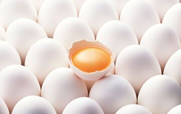 روز جهانی تخم‌مرغ؛ فرصتی برای ترویج مصرف و حمایت از تولیدکنندگان
