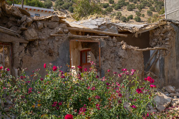 در روستای بیشه، بخشی از بافت تاریخی و خانه‌های قدیمی تخریب شده و جای خود را به سازه‌های مدرن و ساخت‌وسازهای شهری داده‌اند.
