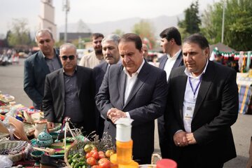 استاندار ایلام:روستائیان و عشایر نماد اقتصاد مقاومتی و مرزداران هویت و امنیت کشور هستند