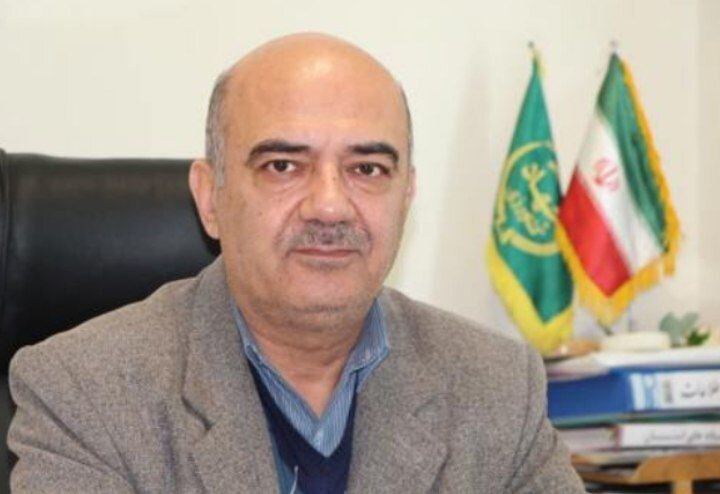 تولید ۵ هزار تن آلو در اسدآباد؛ از باغهای ملحمدره تا ضرورت ایجاد صنایع تبدیلی