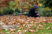 چرا برخی در پاییز بی‌حوصله و کم‌انرژی می‌شوند؟