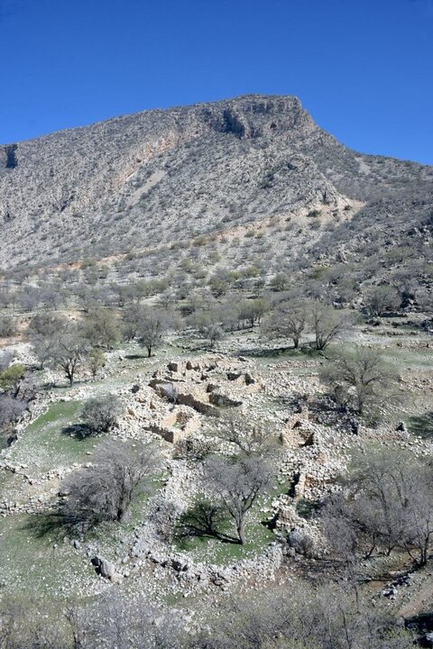 شناسایی روستای صفوی و متروک در جنگل‌های استان فارس