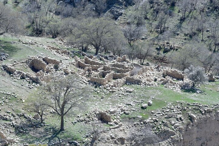 شناسایی روستای صفوی و متروک در جنگل‌های استان فارس