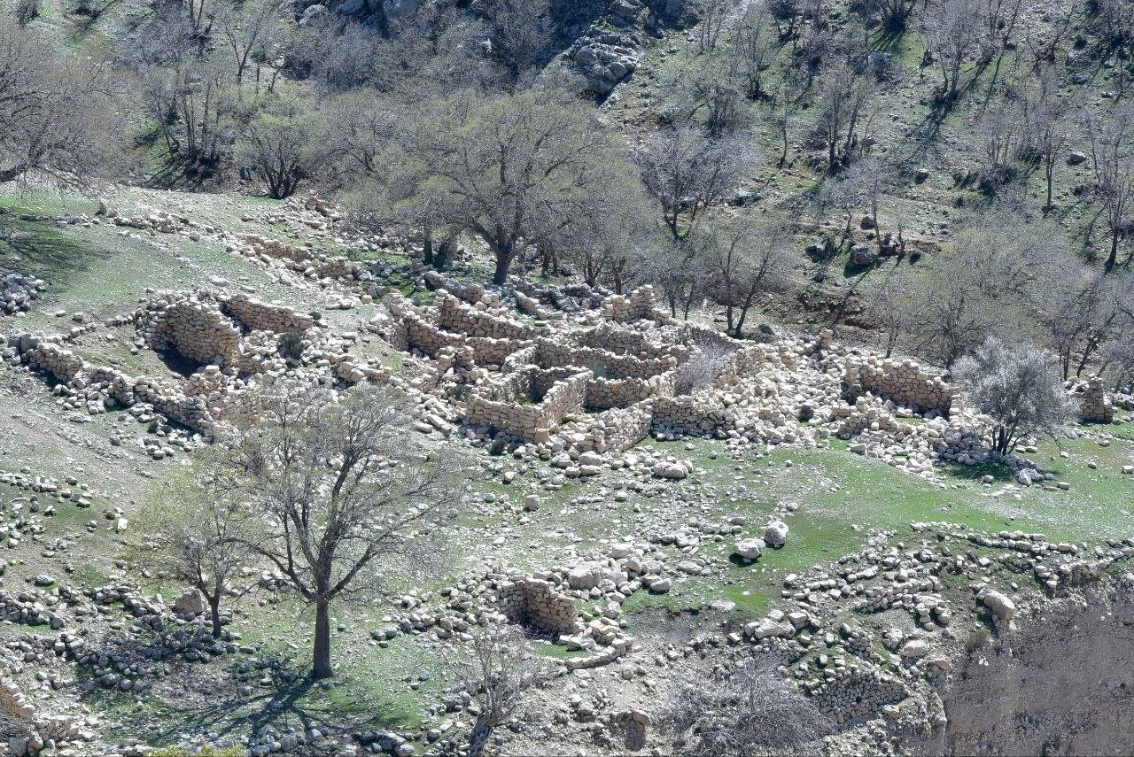 شناسایی روستای صفوی و متروک در جنگلهای استان فارس