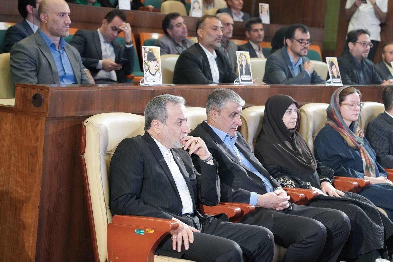 عراقچی: نابودی پوشش گیاهی و جانوری از تبعات زیستمحیطی جنگ است