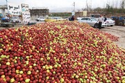 جشنواره سیب بروجرد فرصتی برای توسعه بازارهای داخلی و صادراتی است