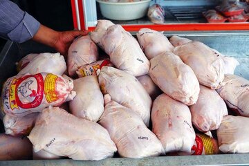 قیمت مرغ گرم در همدان به ۲۵۵ هزار تومان رسید/ بازار بدون کمبود