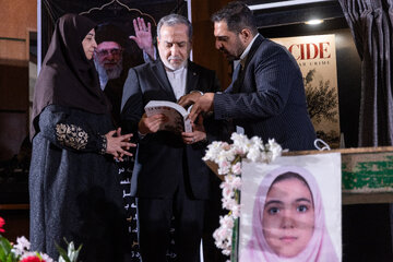 سید‌عباس عراقچی، وزیر امور خارجه و شینا انصاری، رئیس سازمان محیط زیست در نشست «اکوساید: جنایت جنگی خاموش»