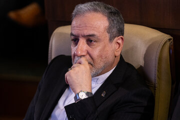 سید‌عباس عراقچی، وزیر امور خارجه در نشست «اکوساید: جنایت جنگی خاموش»