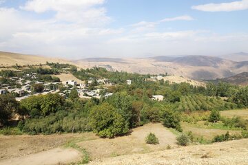 باغات سیب در یکی از روستاهای اهر