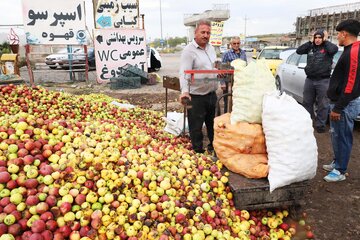 خسارت ۶۰ درصدی بلایای طبیعی و غیره به محصول باغی سیب اهر که باعث افت کیفیت محصول و فروش آن به عنوان سیب‌ زیر درختی با پایین ترین قیمت به دلالان شده است و هیچ سودی برای تولید کننده و کشاورز ندارد.