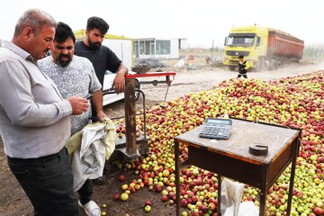 خسارت ۶۰ درصدی بلایای طبیعی و غیره به محصول باغی سیب اهر که باعث افت کیفیت محصول و فروش آن به عنوان سیب‌ زیر درختی با پایین ترین قیمت به دلالان شده است و هیچ سودی برای تولید کننده و کشاورز ندارد.
