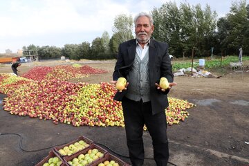 خسارت ۶۰ درصدی بلایای طبیعی و غیره به محصول باغی سیب اهر که باعث افت کیفیت محصول و فروش آن به عنوان سیب‌ زیر درختی با پایین ترین قیمت به دلالان شده است و هیچ سودی برای تولید کننده و کشاورز ندارد.