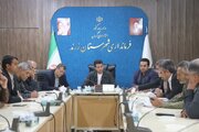 تشدید نظارت بر بازار زرند؛ برخورد با عرضه کالاهای قاچاق در دستور کار قرار گرفت