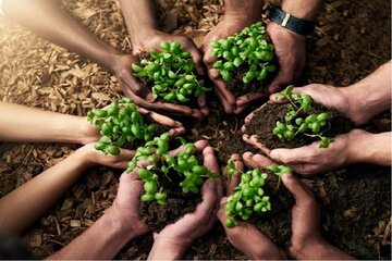 تغییر اقلیم، جنگ‌ها و بیماری‌های واگیر؛ سه تهدید امنیت غذایی جهان