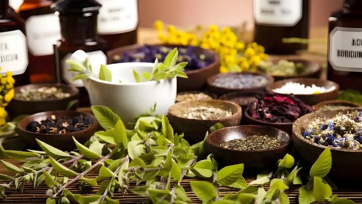 تدوین اطلس کاربردی گیاهان دارویی خراسان جنوبی با تمرکز بر ظرفیت‌ها