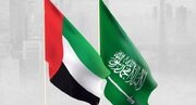 هشدار مقام اماراتی درباره تلاش‌ها برای ایجاد تفرقه میان عربستان و امارات