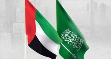 هشدار مقام اماراتی درباره تلاش‌ها برای ایجاد تفرقه میان عربستان و امارات