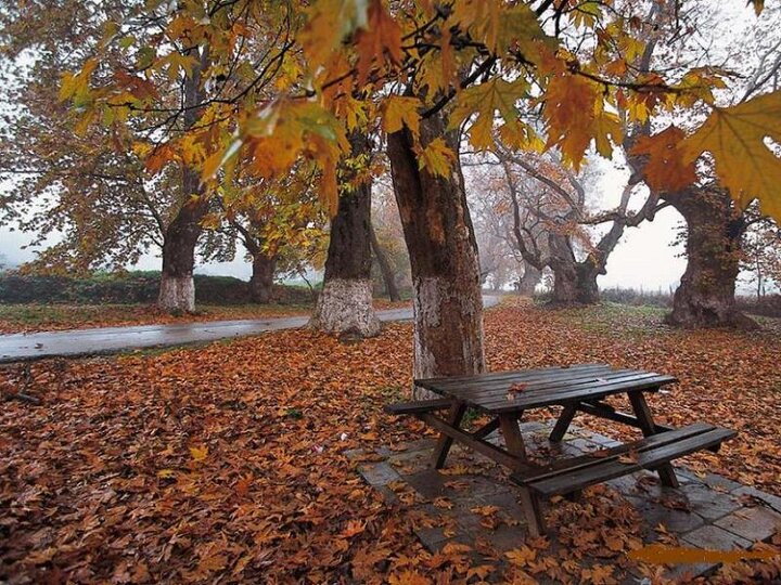 بارش‌های پاییزی از نیمه دوم هفته آینده در همدان آغاز می‌شود