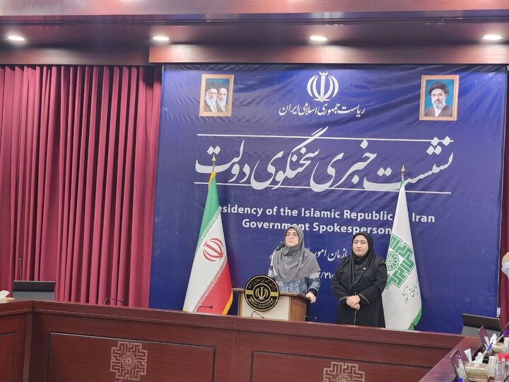 سخنگوی دولت: وزارت دفاع و خارجه پیگیر وضعیت خلبانان ایرانی در قطر هستند