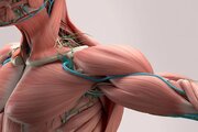 تقویت عضلات، حفظ تعادل و ارتباطات اجتماعی؛ سه کلید طلایی سالمندی سالم