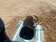 دستگیری متخلف زنده‌گیری پرندگان شکاری در خرامه