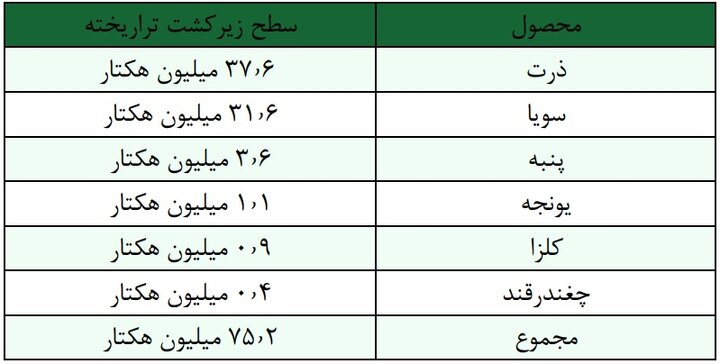 امنیت غذایی؛ فراتر از سیر شدن، حق دسترسی به غذای سالم