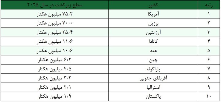 امنیت غذایی؛ فراتر از سیر شدن، حق دسترسی به غذای سالم