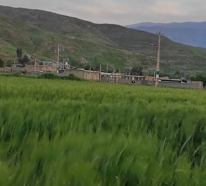 «فاضل‌آباد» دره‌شهر، مقصدی برای هر فصل در دل کوهستان