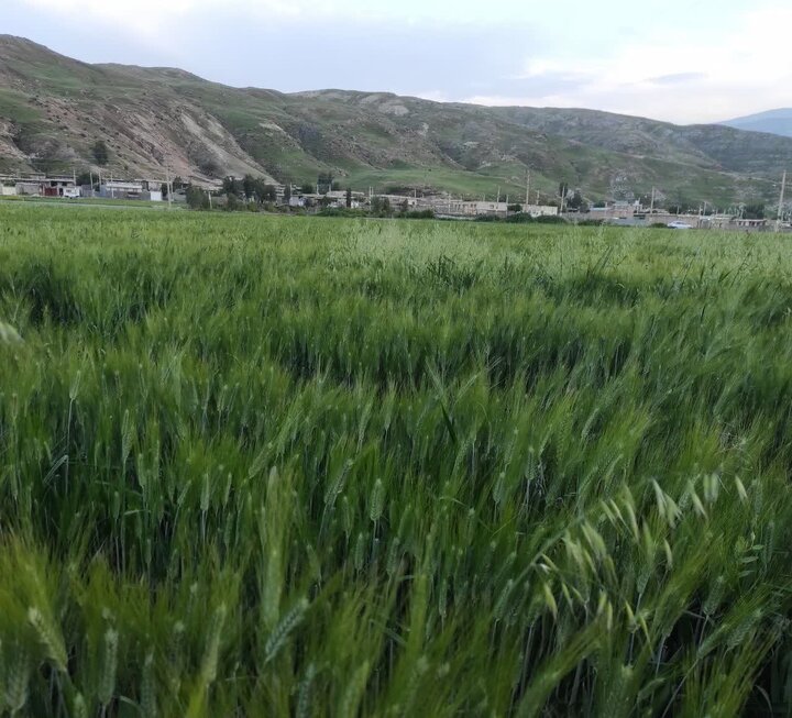 «فاضلآباد» درهشهر، مقصدی برای هر فصل در دل کوهستان