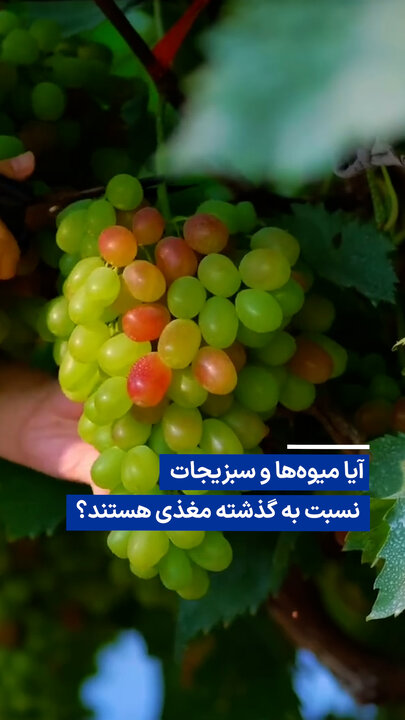 آیا مواد مغذی میوه‌ها و سبزیجات نسبت به گذشته کاهش یافته‌ است؟