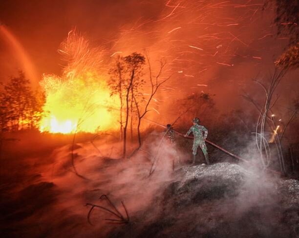 «ال نینو»، حریقهای جنگلی اندونزی را شعلهورتر کرده است