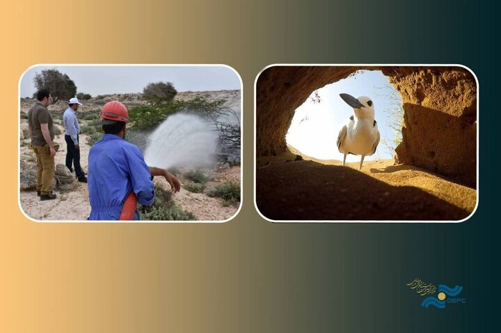 دریافتی چهارشنبه