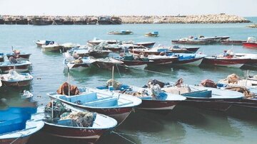 فرماندار: صید قایق‌ها در چابهار به دلیل مسائل مرتبط با سوخت متوقف نخواهد شد