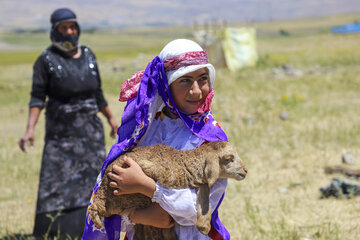کودکان دختر عشایری آتمیانلوی اهر در کنار بازی و تفریح به مادر در تسریع امورات زندگی روزمره کمک حال خانواده هستند