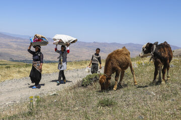کودکان عشایری در کنار بازی و تفریح به مادر در تسریع امورات زندگی روزمره کمک می کنند.