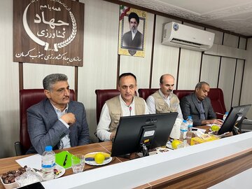 فائو در جنوب کرمان؛ از مبارزه با سرخرطومی حنایی تا تکمیل زنجیره ارزش خرما