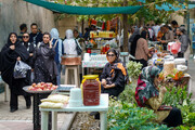 روزبازارها؛ فرصتی برای رونق کسب‌وکار زنان و خرید مستقیم محصولات محلی