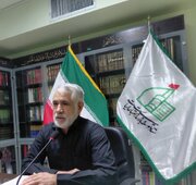 کسب رتبه اول کرمان در جذب نذورات مردمیِ بازسازی عتبات طی ۱۰ سال/بافت فرش‌های حرم علوی