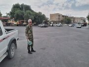 توقیف نیسان حامل  چوب توت و زبان‌گنجشک در نهاوند