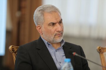 معاون پارلمانی رئیس جمهور:تاب‌آوری ما از خصیصه‌های برجسته ملت ایران است