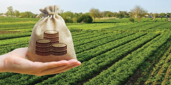 اختصاص ۱۷۸ میلیارد ریال مالیات نشاندار به ۷ پروژه عمرانی جهاد کشاورزی همدان