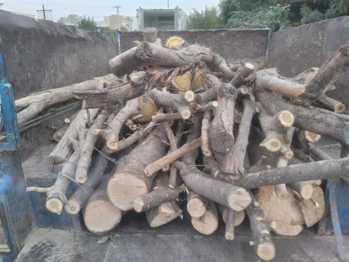 توقیف نیسان حامل چوب توت و زبانگنجشک در نهاوند