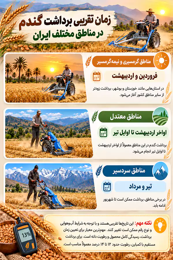 چگونه گندم بیشتری برداشت کنیم؟ 7 نکته + 4 روش کاهش ضایعات