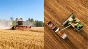 چگونه گندم بیشتری برداشت کنیم؟ 7 نکته + 4 روش کاهش ضایعات