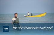 آغاز صید ماهیان استخوانی در دریای خزر با رعایت ضوابط