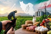 تاب‌آوری در امنیت غذا به معنای تحمل گرسنگی نیست/چرا ظرفیت علمی به کمک امنیت غذایی نمی‌آید؟